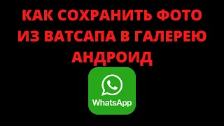 Как сохранить фото из ватсапа в галерею андроид