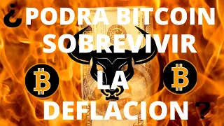 Bitcoin Una Ultima Carrera, Antes de la Deflación