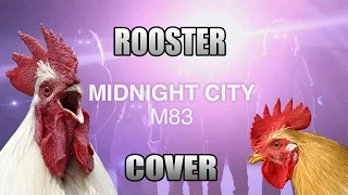 M83 - Midnight Rooster