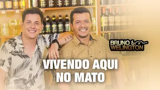 Bruno e Welington - Vivendo Aqui No Mato ( cover ) - DVD A CADA COPO