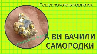 Золото Карпат/Search for gold in Ukraine