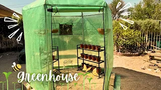 I Put Together A Greenhouse