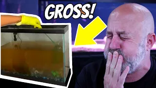 You Didn't Believe Me? Well I Have PROOF! Reacting To Disgusting Aquariums!