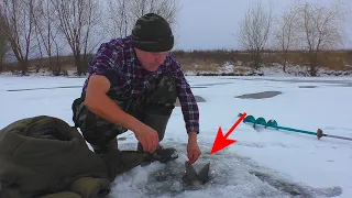 ЭТИ МОНСТРЫ НЕ ЛЕЗУТ В ЛУНКУ ! РЫБАЛКА В НОЯБРЕ ПО ПЕРВОМУ ЛЬДУ