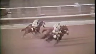 Secretariat Belmont Stakes 1973 & extended coverage HD Version   NEW! mp4