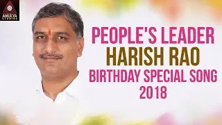 Harish Rao Birthday Special Song 2018 | Janam Mecchina Jana Nayakudu | Amulya Studios