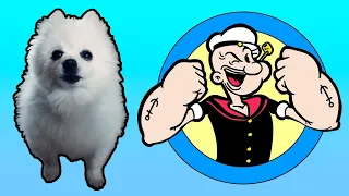 Popeye em cachorrês | NOSTALGIA