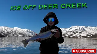 ICE OFF Deer Creek! Record snow for Utah=Great fishing!