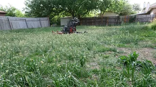 HELPING this random homeowner with their yard makeover for FREE, If I MOW it can they SELL it