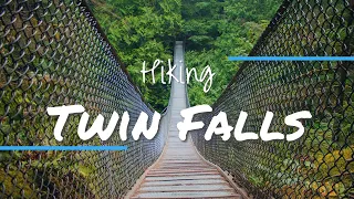 Twin Falls Hike and the Lynn Canyon Suspension Bridge!