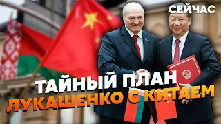 💣ЛУКАШЕНКО наказав ШТУРМУВАТИ КИТАЙСЬКЕ ПОСОЛЬСТВО! Вимагають ЗУСТРІЧ — Бульба