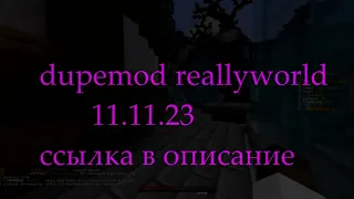 🥳СЛИВ ДЮПА REALLYWORLD 11.11.23🥳ДЮП ВЕЩЕЙ НА REALLYWORLD 3.0🥳