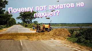 Почему пот азиатов не пахнет?