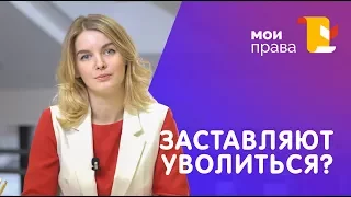 Заставляют уволиться. Что делать? / Юридический центр МОИ ПРАВА