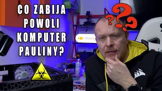 Co zabija komputer Pauliny?