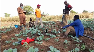 Water management solutions for small scale irrigation scheme in Ghana | IWMI