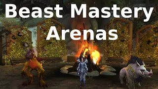 Beast mastery hunter arenas - 1300-1400 rating - wow - Dragonflight