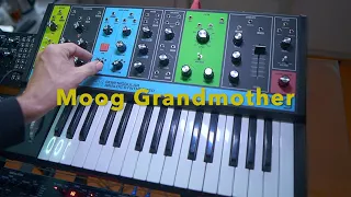 MOOG GRANDMOTHER in profundum : Perfect Synthesizer : auf Deutsch