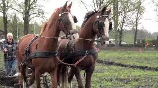 Ploegen met paarden 2012