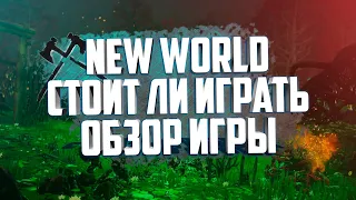 NEW WORLD, СТОИТ ЛИ ИГРАТЬ?! ПЛЮСЫ И МИНУСЫ ИГРЫ, ПОСЛЕВКУСИЕ ЗБТ