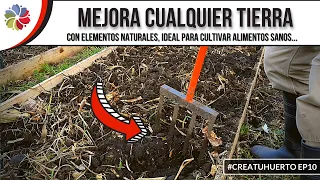 🌱 Cómo MEJORAR la TIERRA para tus CULTIVOS GRATIS - La naturaleza como aliada #CreaTuHuerto Ep10
