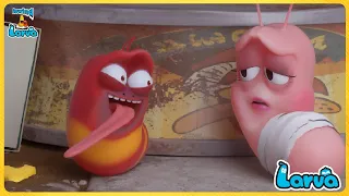 Larva Pink 🍨Cartoon Compilation🍟 Fun Clips from Animation LARVA🥞 Larva Official 🍟 Best Cartoon Movie