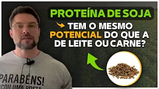 PROTEÍNA DE SOJA É BOA PARA GANHO DE MASSA MUSCULAR? | Muzy Explica