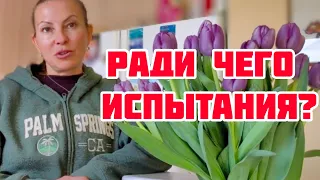 СУТЬ ЖИЗНИ ПРАКТИЧНОГО АМЕРИКАНЦА