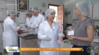 Biscoito bom pra cachorro e pra humano também!