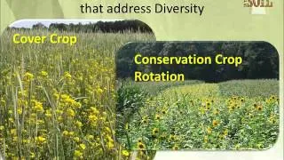 Soil Health Management Systems - Using NRCS Practice Standards