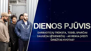 Darbuotojų trūksta, todėl daugėja užsieniečių – ar reikia įvesti griežtas kvotas? | DIENOS PJŪVIS