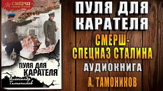 Пуля для карателя  (Александр Тамоников) Аудиокнига.