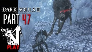 Dark Souls 3: Ashes of Ariandell Walkthrough | Depths of the Painting & Champion Gravetender