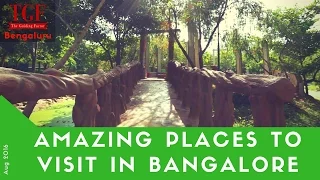 Amazing places to visit in Bangalore | Parks and Activities | August 2016