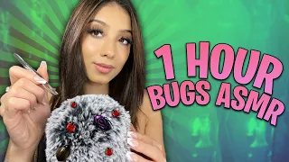 ASMR| 1 HOUR OF BUGS! 🐛🐜