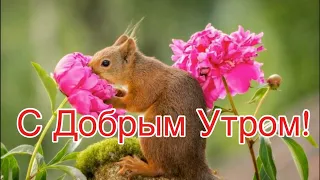 Пусть В Душе Живёт Мир и Гармония! 🌺Пожелание Для Друзей! Музыка Сергей Чекалин!