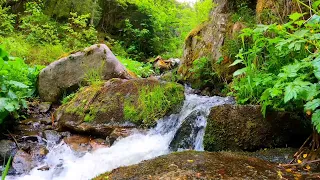 Healing meditation,calming sounnds, sleeping sounds, waters ambience flowing water, brook, creek