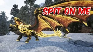 New map tour new DRAGONS and GIVEAWAY in Day of Dragons