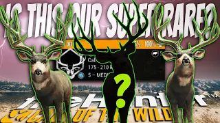 Our First Level 5 Mule Deer Is Here... Is This Our Super Rare? Call of the wild