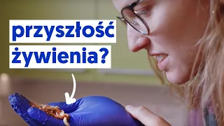 Jak owady mogą pomóc wyżywić świat?