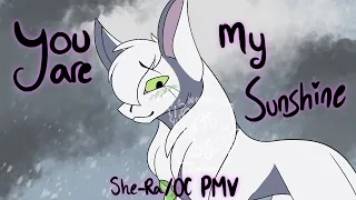 【 You Are My Sunshine (REMAKE) | She-Ra / OC PMV [FlipAClip] 】