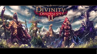 Divinity: Original Sin II Эльфы, орки, гномы и многое другое =)