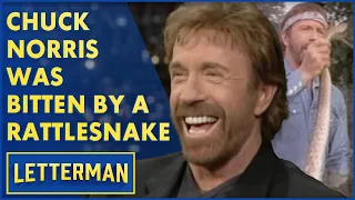 Chuck Norris Was Bitten By A Rattlesnake...Five Days Later The Rattlesnake Died | Letterman