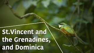 St.Vincent and the Grenadines, and Dominica - Caribbean Moments - The Secrets of Nature