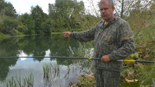 Не ожидал поймать этих рыб на речке! Рыбалка на поплавок