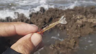 pesca UltraLight nas pedras da praia com micro camarão artificial