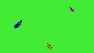 Flying Butterflies. Green Screen.