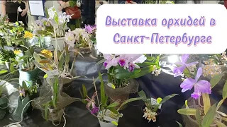 Выставка орхидей в Санкт-Петербурге