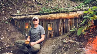 Building underground house in jungle. Hidden home. Bushcraft survival shelter. Hobbit house. Part 1