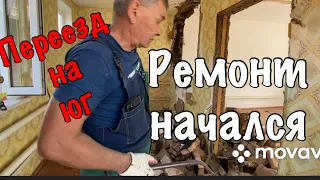 216ч🏡17.04.24-Начался ремонт/Вчера посадила-сегодня сожрали🥹